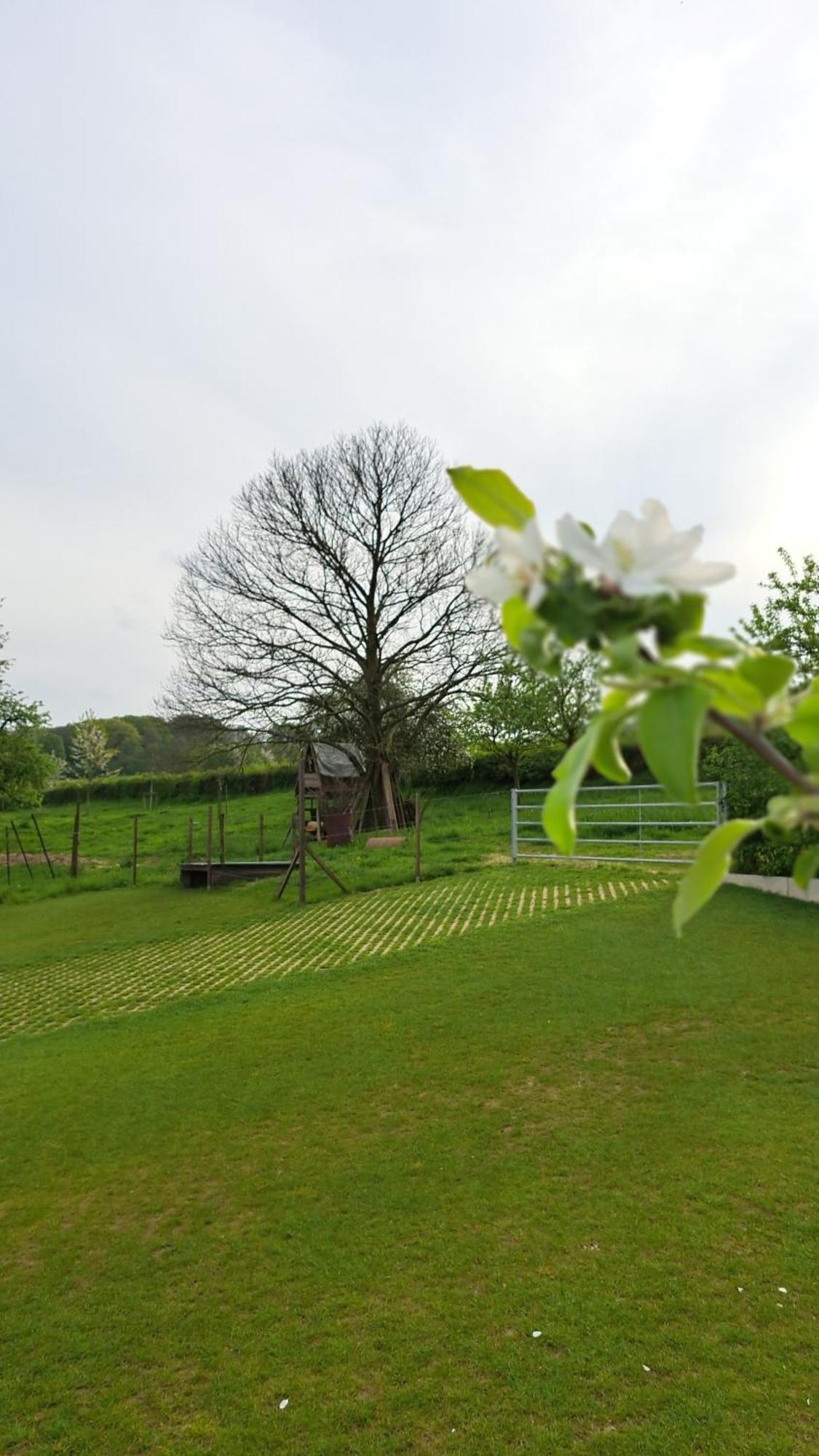 Beutenaken Drie Exterior foto