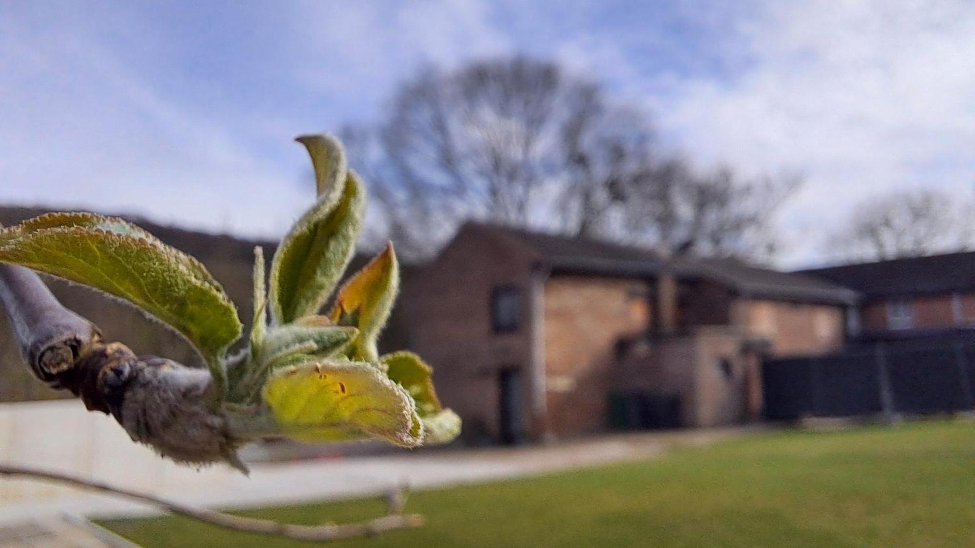 Beutenaken Drie Exterior foto